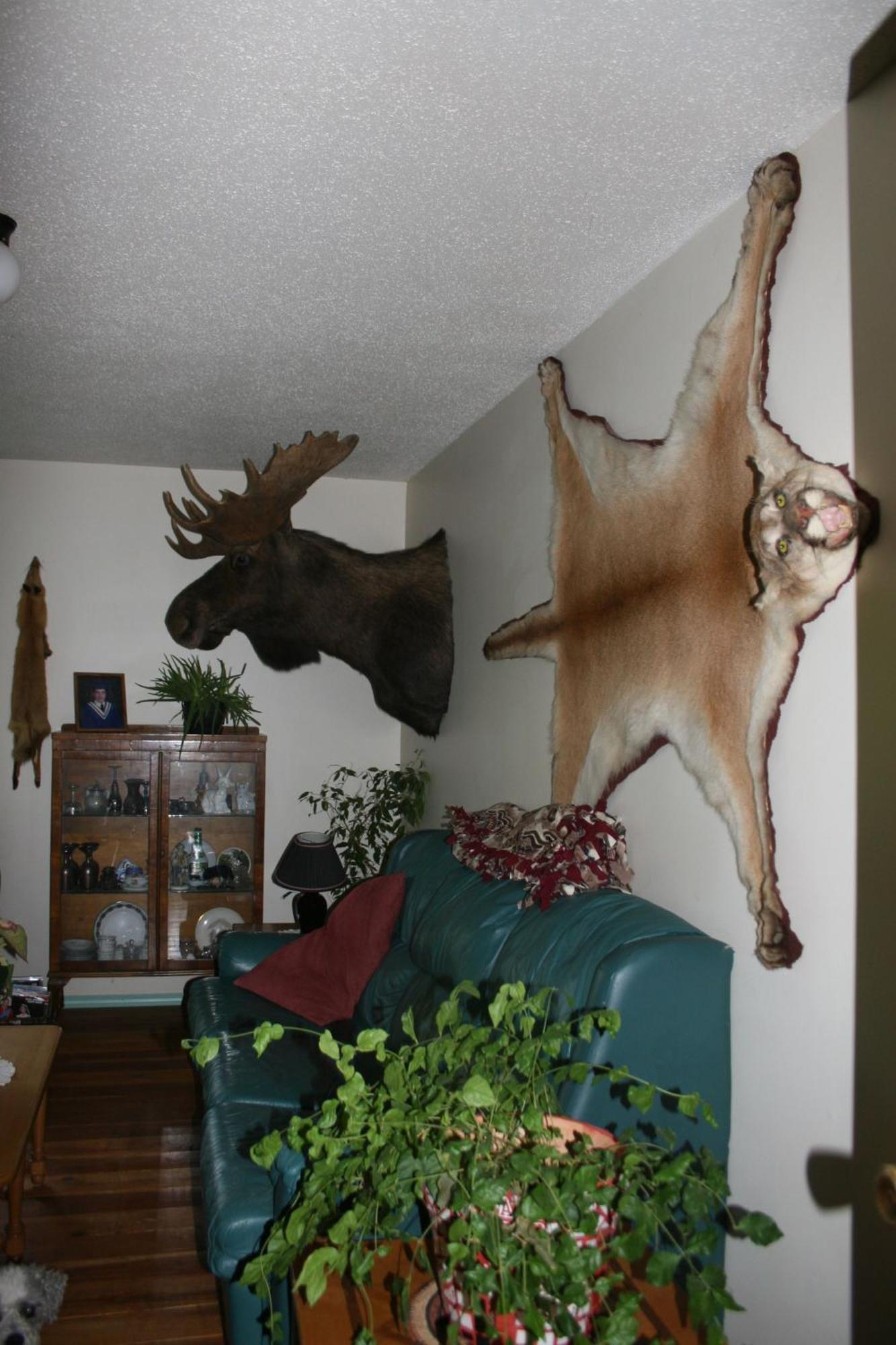 Dunphy'S Bed And Breakfast Parson Extérieur photo