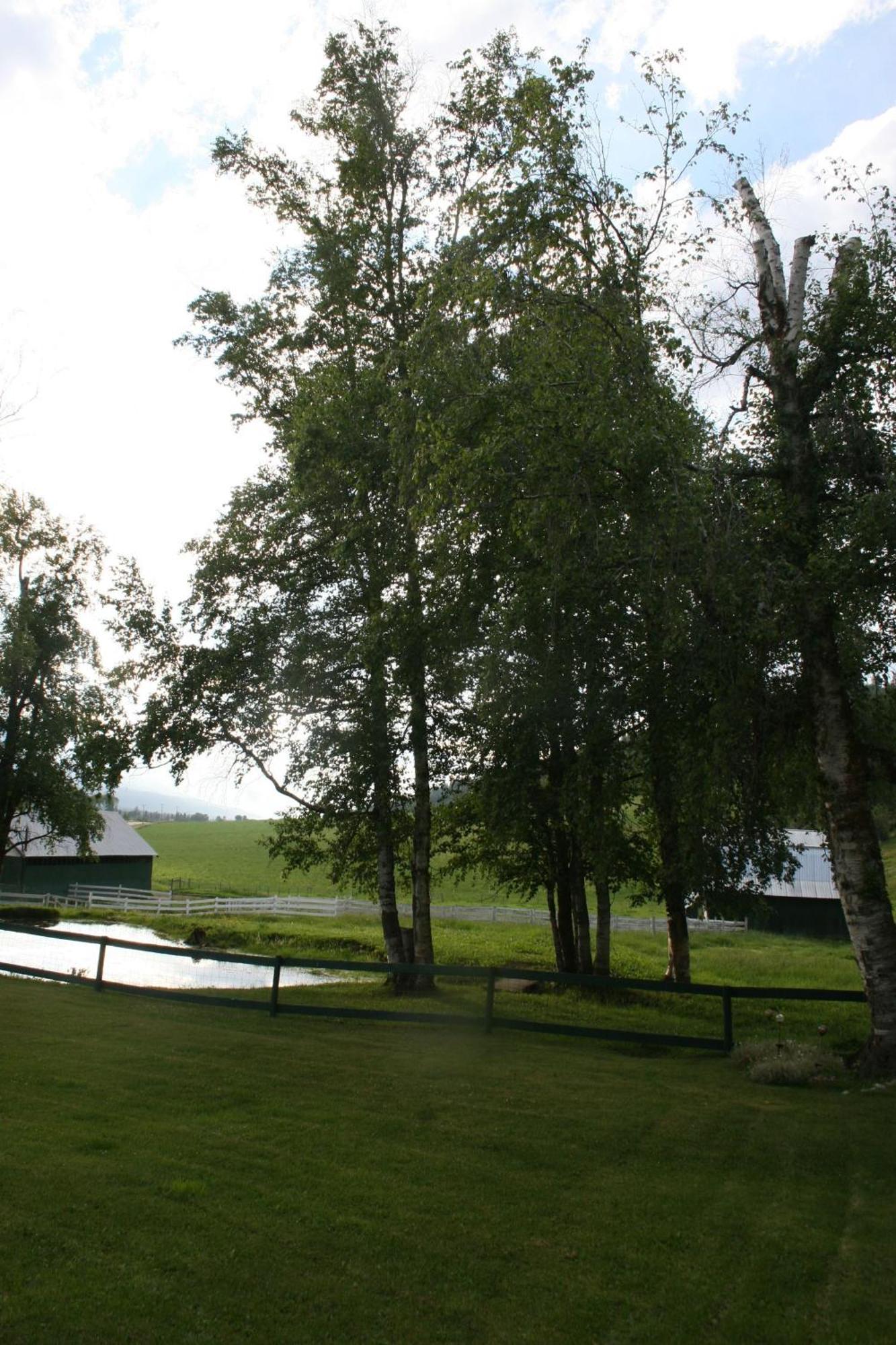 Dunphy'S Bed And Breakfast Parson Extérieur photo