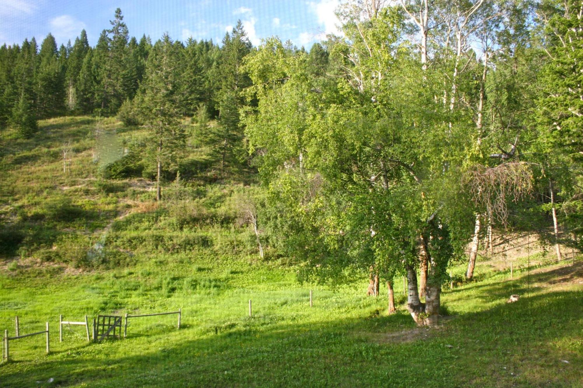 Dunphy'S Bed And Breakfast Parson Extérieur photo
